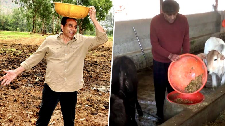 बॉलीवुड के ग्लैमर से दूर अभिनेता धर्मेंद्र कर रहे हैं ये काम, सामने आया Video
