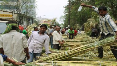 गन्ना किसानों को केंद्र सरकार ने दी बड़ी राहत: 20 हजार करोड़ का भुगतान होगा, बनेगा बफर स्टॉक