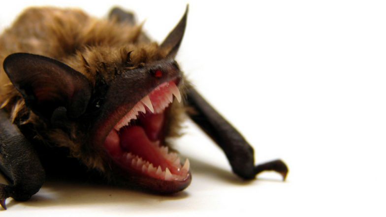 Nipah Virus: संक्रमण के डर से सऊदी अरब ने लगाया केरल के प्रोडक्ट्स पर बैन