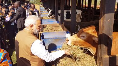 प्रधानमंत्री नरेंद्र मोदी ने रवांडा को दी 200 गायें, जानिए क्या है इसके पीछे का कारण