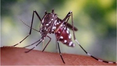 प्लेटलेट में मलेरिया के परजीवी को नष्ट करने की क्षमता : अध्ययन