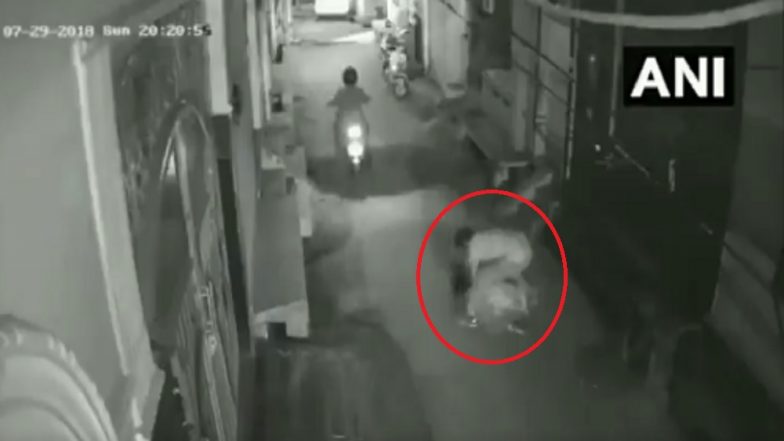 दिल्ली में दिन दहाड़े महिला से लूट, आरोपी CCTV में हुआ कैद