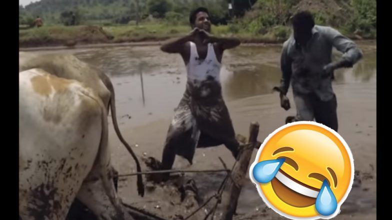 गाड़ी के बाद बैलों के साथ हो रहा #KiKiChallenge चैलेंज, वीडियो देख रह जाएंगे दंग..