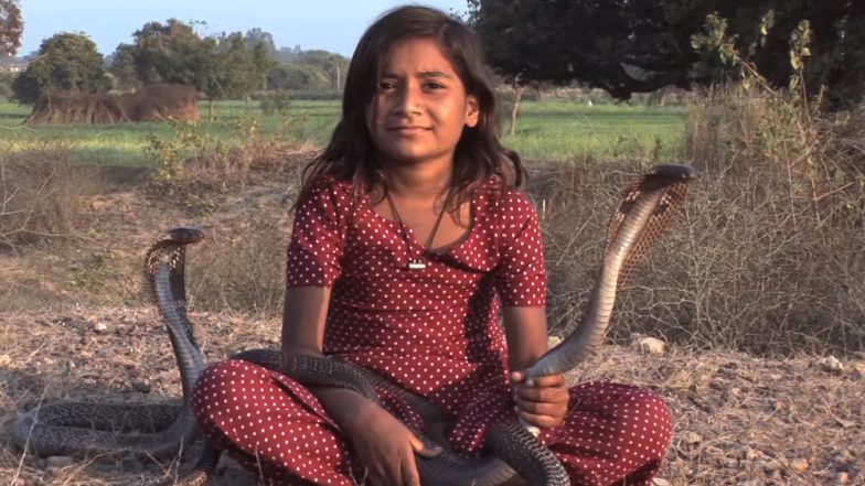 VIDEO: जहरीले कोबरा हैं इस 8 साल की बच्ची काजोल के खास दोस्त, जानिए क्या यह है विष कन्या?