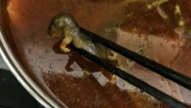 चाइनीस रेस्टोरेंट में गर्भवती महिला को मिला सूप में चूहा, रेस्तरां ने गर्भपात के लिए किए पैसे ऑफर