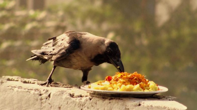 पितृपक्ष-2019: क्या है श्राद्ध! जानें पहली बार किसने किया था श्राद्ध और क्या है पितृपक्ष की पौराणिक कथा!