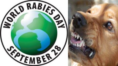 विश्व रेबीज दिवस 2018:  कुत्ते का काटना हो सकता है जानलेवा, ऐसे करें अपना बचाव