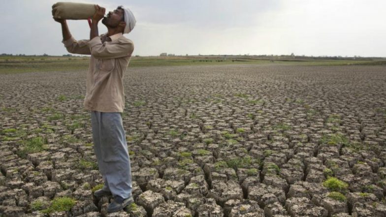 राजस्थान: तपते रेगिस्तान में नयी तकनीक से लहलहाएगी मूंग, मोठ, बाजरा की फसल