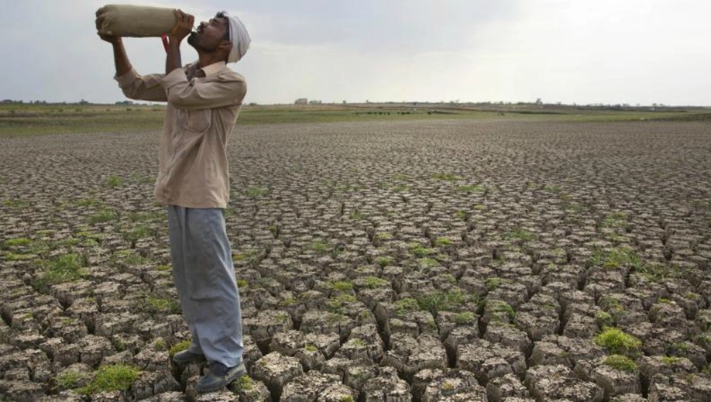 रबी फसल की बुवाई सर्वकालिक उच्च स्तर से 2 फीसदी ज्यादा
