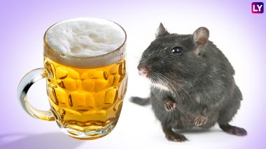 बिहार: गायब हुई बीयर की 200 केन, तो अधिकारियों ने झाड़ा पल्ला, कहा- चूहे गटक गए
