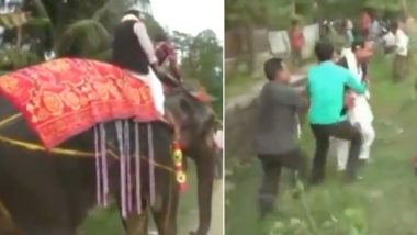 Video: अपने ही स्वागत समारोह में हाथी से गिर पड़े असम के डेप्युटी स्पीकर कृपानाथ मल्लाह