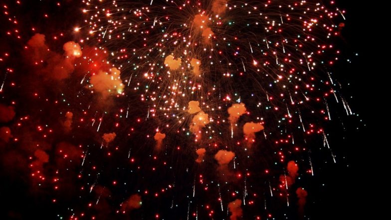 दिवाली के शुभ अवसर पर पटाखों के दुष्प्रभाव से अपनी सेहत को बचाने  के लिए अपनाएं ये तरीके