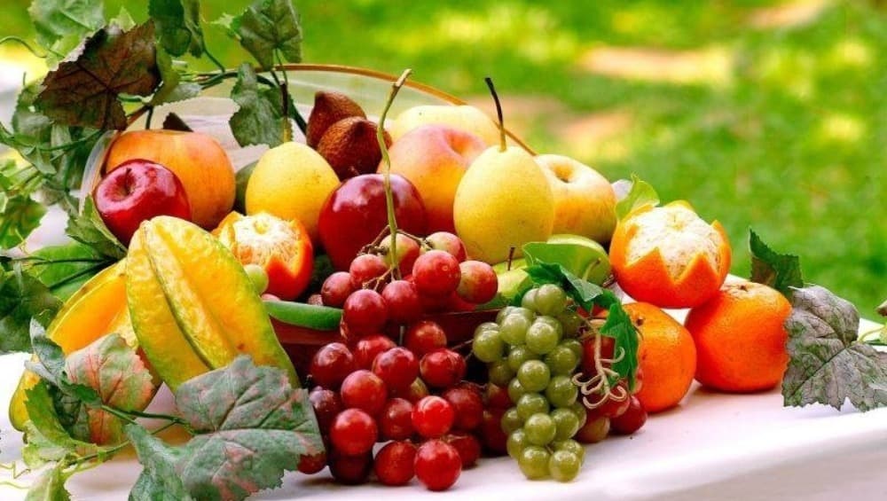 Your Ultimate Winter Fruit Guide: सर्दियों के मौसम में स्वस्थ रहने के लिए खाएं ये फ्रूट्स Your Ultimate Winter Fruit Guide: सर्दियों के मौसम में स्वस्थ रहने के लिए खाएं ये फ्रूट्स