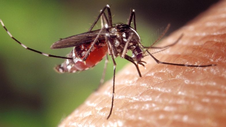 कोरोना के बाद अब Zika Virus ने बढ़ाई चिंता, केरल में 5 और लोग पाए गए संक्रमित, राज्य में मरीजों की संख्या हुई 28