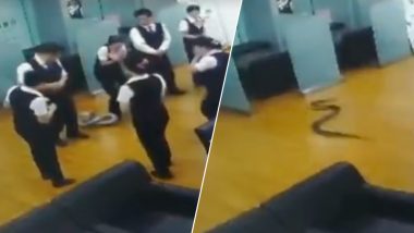 बैंक में मीटिंग के दौरान पंखे से गिरा अचानक अजगर, मचा हड़कंप, वायरल हुआ VIDEO
