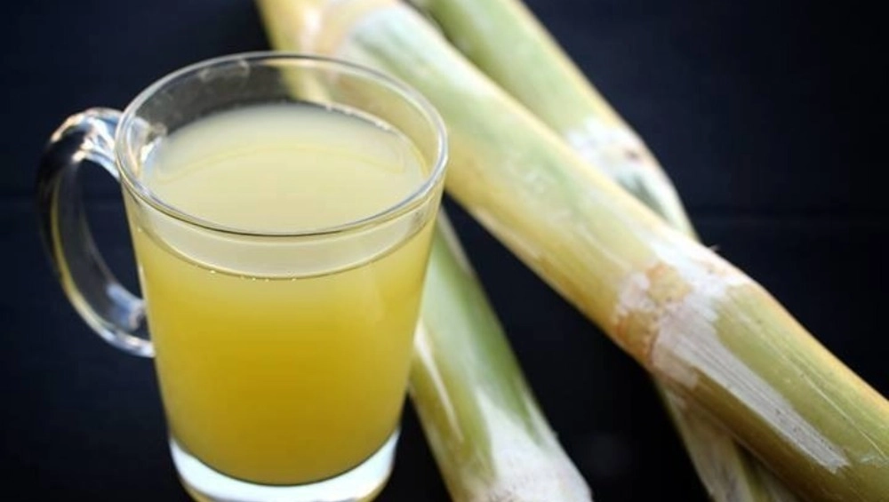 यूपी सरकार का दावा, 85 प्रतिशत गन्ने का बकाया चुकाया गया