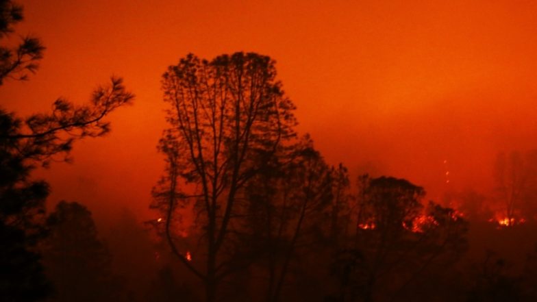 अमेरिका: कैलिफोर्निया में लगी भीषण आग से मृतकों की संख्या बढ़कर हुई 58, बचाव कार्य जारी