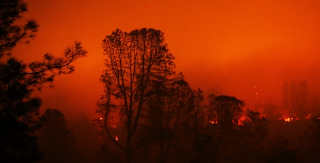 California Wildfires: कैलिफोर्निया में जंगली आग से 41 एकड़ जमीन जली, अब तक 31 लोगों की हो चुकी है मौत