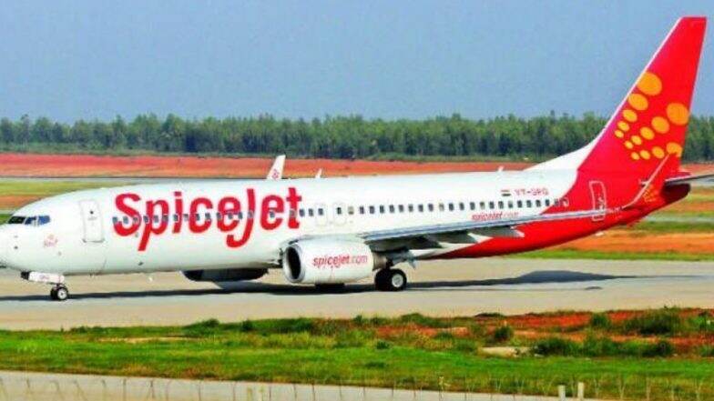 मुंबई हवाई अड्डे की दीवार फांदकर विमान तक पहुंचा शख्स, CISF ने किया गिरफ्तार, देखें वीडियो मुंबई हवाई अड्डे की दीवार फांदकर विमान तक पहुंचा शख्स, CISF ने किया गिरफ्तार, देखें वीडियो