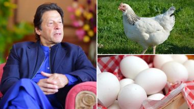 मुर्गी और अंडों से पाकिस्तान की गरीबी मिटाएंगे इमरान खान, विपक्ष ने उड़ाई खिल्ली