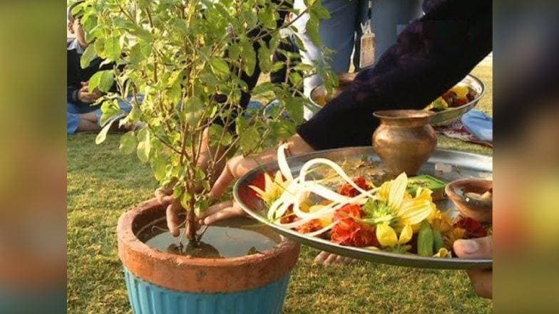 Tulsi Vivah 2019: तुलसी विवाह के दौरान इन बातों का रखें ध्यान, होंगी सभी परेशानियां दूर Tulsi Vivah 2019: तुलसी विवाह के दौरान इन बातों का रखें ध्यान, होंगी सभी परेशानियां दूर