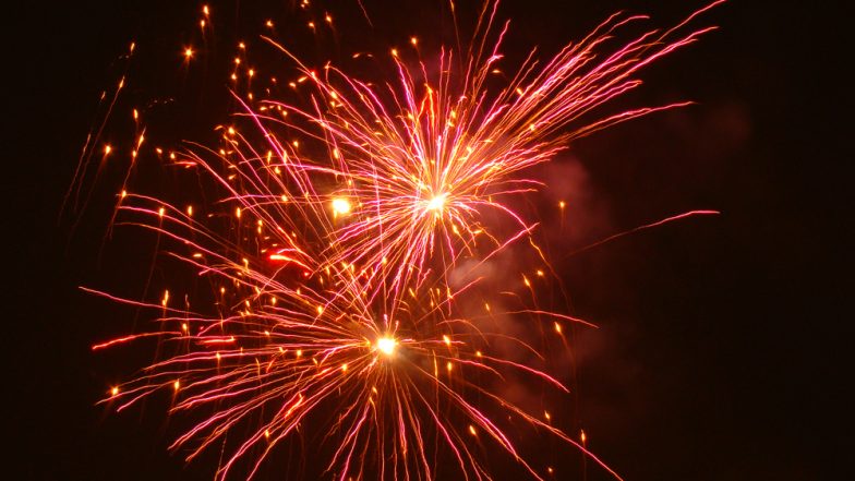 Punjab Allows Use of Green Firecrackers on Diwali: पंजाब में दीवाली, गुरुपुरब पर ग्रीन पटाखे जलाने की अनुमति मिली, यहां पढ़ें पूरी जानकारी