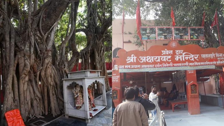 कुंभ मेला 2019: विश्व का सबसे प्राचीन वटवृक्ष है 'अक्षयवट', जहां वनवास काल के दौरान भगवान राम ने 3 दिनों तक किया था निवास