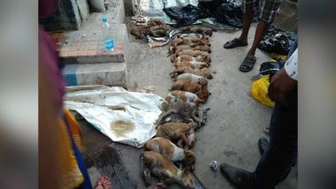 क्रूरता की हद: बोरे में 16 कुत्तों के शव मिलने से हड़कंप, किसी ने पहले जहर दिया फिर पीट-पीटकर मार डाला