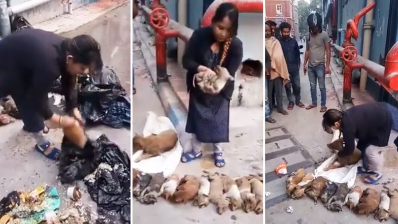 कोलकाता: नर्सिग की 2 छात्राओं ने Puppies को बेरहमी से पिट कर उतारा मौत के घाट, पुलिस ने किया गिरफ्तार