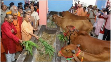 योगी सरकार गौ सेवा के लिए वसूलेगी ‘गौ कल्याण सेस’, आवारा पशुओं के लिए बनेंगे आश्रय स्थल