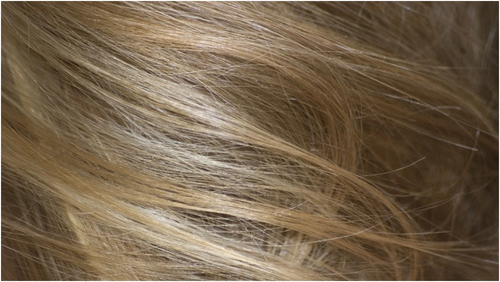 चीनी म्यांमार के रास्ते कर रहे हैं भारतीय मानव बालों की तस्करी, इंडियन ट्रेडर्स ने डीआरआई को किया अलर्ट