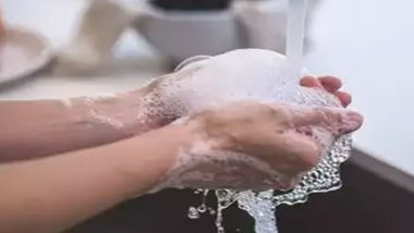 Kumbh 2019: लाइफबॉय ब्रांड ने कुंभ में की अनोखी पहल, कुंभ में 'स्वस्थ चेतना थाली' फैलाएगी हाथ धोने का स्वच्छ संदेश