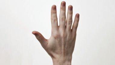 वैज्ञानिक करेंगे इस तकनीक का इजात, हाथ की तस्वीर से पकड़े जाएंगे बड़े- बड़े अपराधी