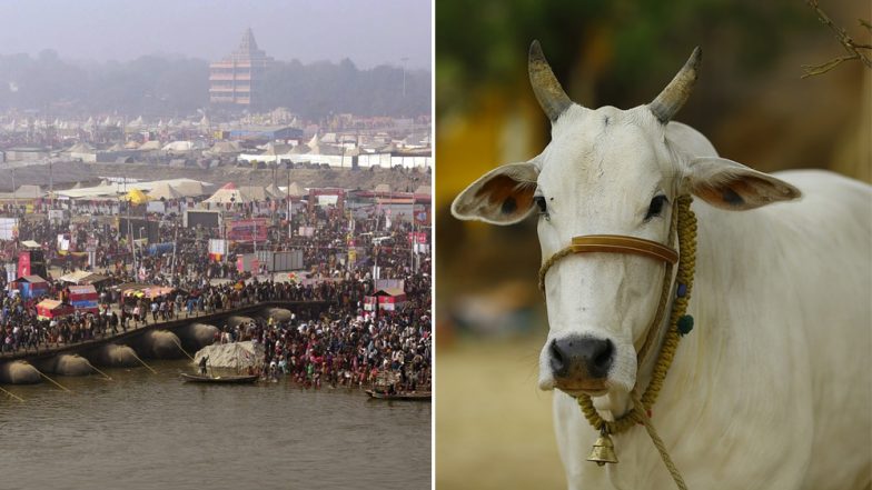 Kumbh Mela 2019: मौनी अमावस्या पर स्नान और दान का है विशेष महत्व, जानें इस दिन गौदान करना क्यों होता है जरूरी?