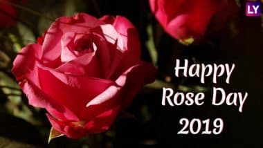 Rose Day 2019 Gift Ideas: रोज डे को स्पेशल बनाने के लिए पार्टनर को गुलाब के साथ दें ये खास गिफ्ट, देखें लिस्ट