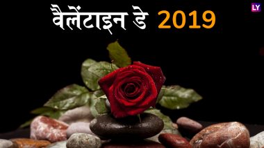 Valentine's Day 2019: हर किसी को वैलेंटाइन डे करना चाहिए सेलिब्रेट, इस दिन को स्पेशल बनाती हैं ये 5 चीजें