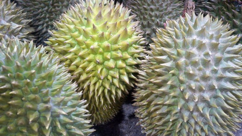 नाले के पानी जैसा स्वाद है इस फल का, कीमत जानकर खिसक जाएगी पैरों तले जमीन
