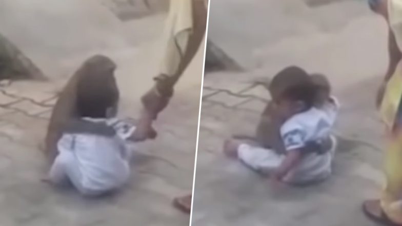 बंदर ने दो साल के बच्चे को 'किडनैप' कर किया कुछ ऐसा, Video देख हो जाएंगे हैरान