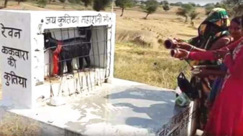 इस गांव में भगवान की तरह होती है कुतिया की पूजा, वजह जानकर आप भी रह जाएंगे दंग, देखें वीडियो
