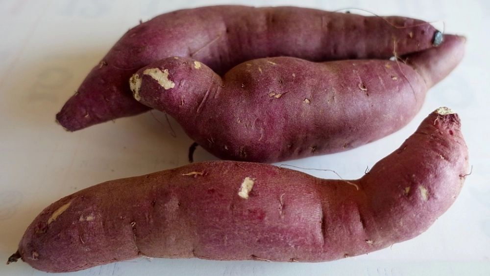 Health Benefits of Sweet Potatoes: शकरकन्द से होते हैं ये चमत्कारिक स्वास्थ लाभ