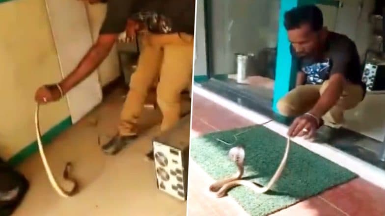 तमिलनाडु: कोयंबटूर में एटीएम के अंदर मिला सांप, इस तरह निकाला गया बाहर, देखें Video तमिलनाडु: कोयंबटूर में एटीएम के अंदर मिला सांप, इस तरह निकाला गया बाहर, देखें Video
