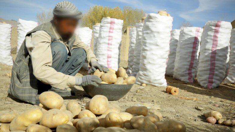 पेप्सिको ने गुजरात के किसानों पर दर्ज करवाया केस, Lays Chips में उपयोग होने वाली आलू की किस्म उगाने पर मांगा 1.5 करोड़ का मुआवजा