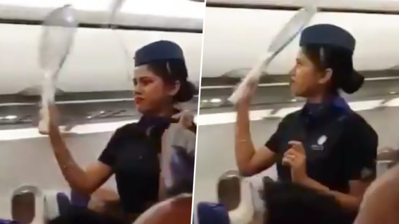IndiGo की फ्लाइट में घुसा मच्छरों का झुंड, बैट से मारती हुई दिखाई दी एयर होस्टेस, वीडियो हुआ वायरल