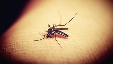 World Malaria Day 2019: मलेरिया उन्मूलन के लिए भारत के प्रयासों की WHO ने की सराहना, जानिए कैसे फैलती है यह बीमारी और क्या है इसके लक्षण