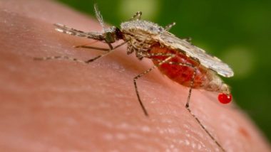 World Malaria Day 2019: अफ्रीका के इन देशों में बच्चों के लिए शुरू हुआ दुनिया का पहला मलेरिया टीका