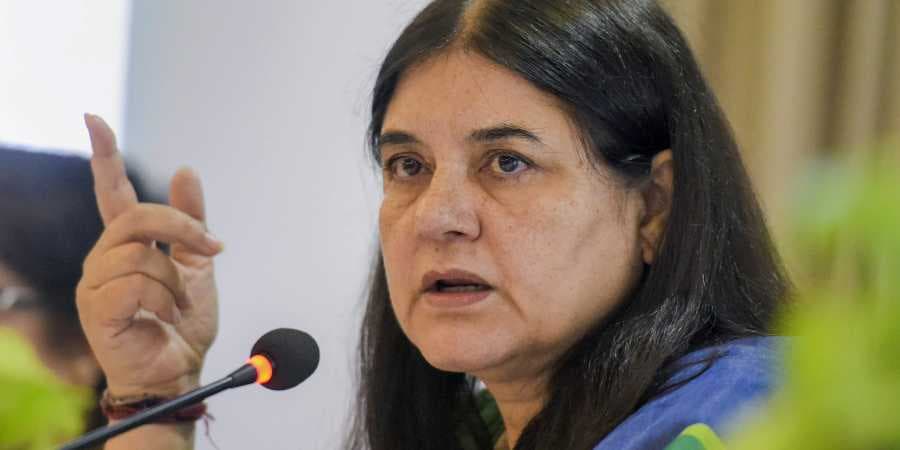 लोकसभा चुनाव 2019: केंद्रीय मंत्री मेनका गांधी ने रोड शो के बाद सुल्तानपुर सीट से किया नामांकन लोकसभा चुनाव 2019: केंद्रीय मंत्री मेनका गांधी ने रोड शो के बाद सुल्तानपुर सीट से किया नामांकन