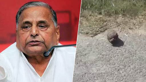 लोकसभा चुनाव 2019: मैनपुरी में मुलायम सिंह के नामांकन से पहले रास्ते पर मिला हैंड ग्रेनेड, प्रशासन में मचा हड़कंप लोकसभा चुनाव 2019: मैनपुरी में मुलायम सिंह के नामांकन से पहले रास्ते पर मिला हैंड ग्रेनेड, प्रशासन में मचा हड़कंप