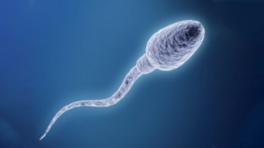 Fitness of Sperms: स्पर्म क्वालिटी बढ़ाने के लिए क्या करें और क्या नहीं? यहां पढ़ें पूरी जानकारी