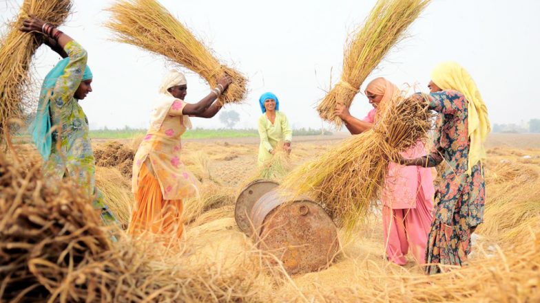 महाराष्ट्र: काम प्रभावित न हो इसलिए इस गांव की महिलाएं निकलवा देती हैं अपना गर्भाशय, पीरियड्स में छुट्टी लेने पर लगता है जुर्माना