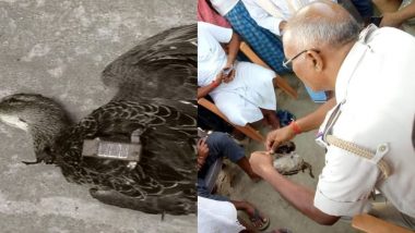 बिहार : मृत विदेशी पक्षी के शरीर से इलेक्ट्रानिक डिवाइस बरामद, जांच में जुटी पुलिस